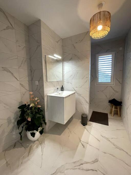 Magnifique Appartement A La Frontiere Suisse 圣路易 外观 照片