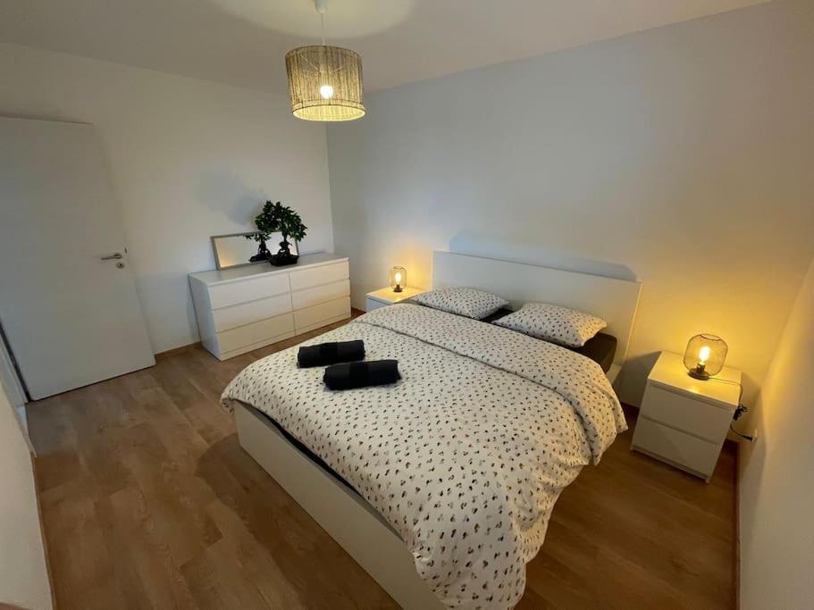 Magnifique Appartement A La Frontiere Suisse 圣路易 外观 照片
